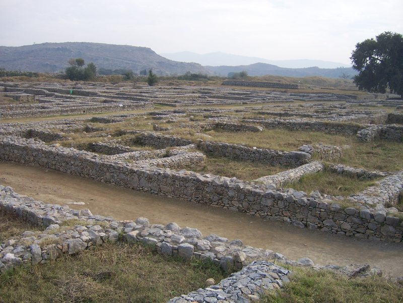 View over the ruins of Sirkap.