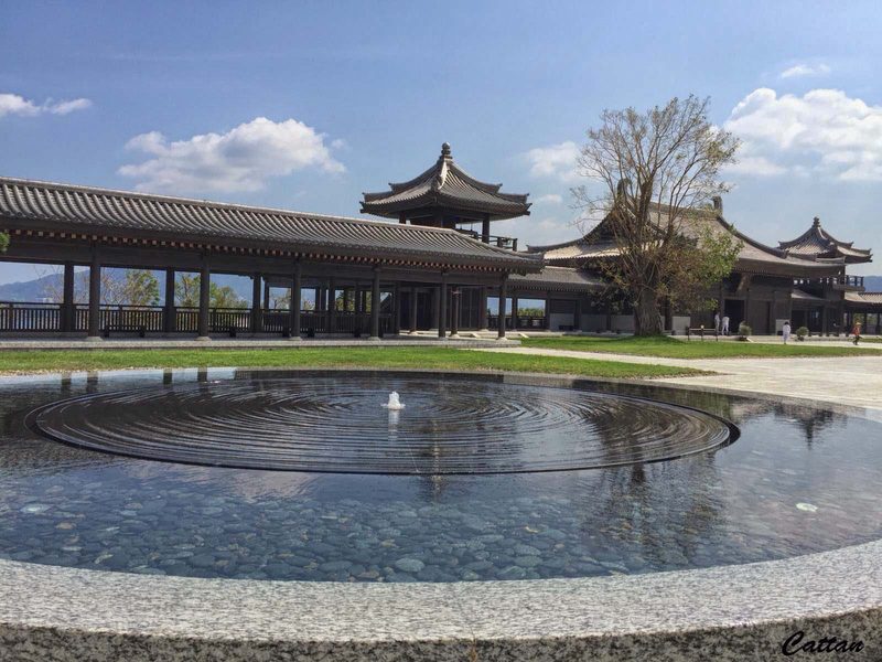 Pond at Tsz Shan Monastery.