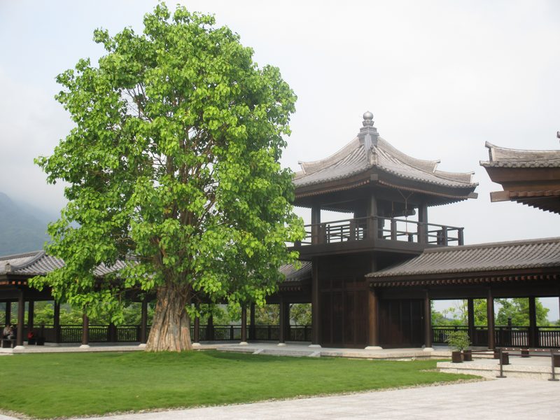 Bell tower at Tsz Shan Monastery.