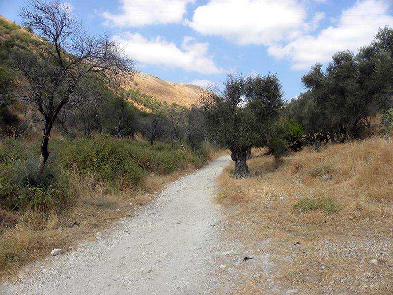 Route from Rosh Pina to Safed, both located in the Galilee region.