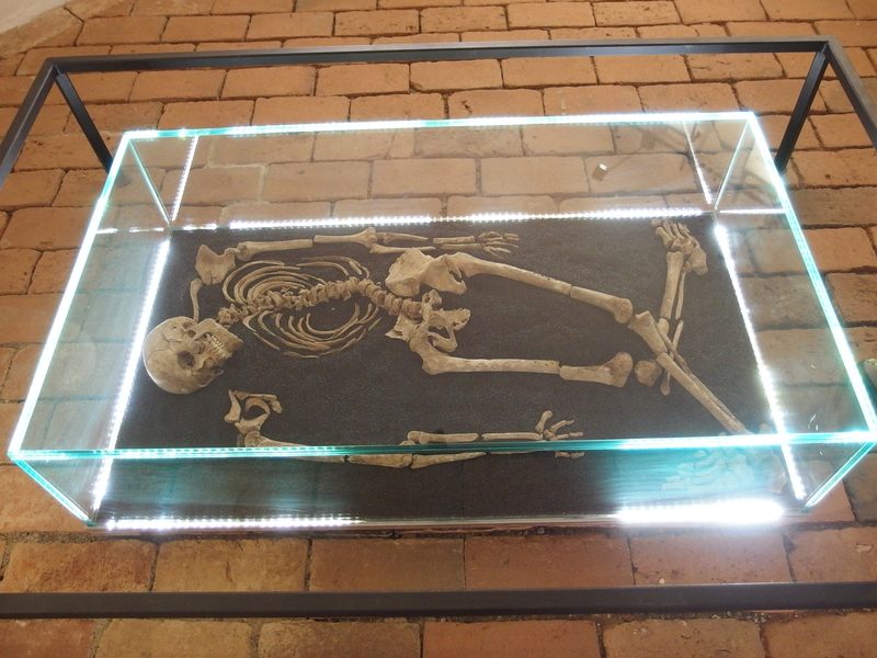 Skeleton of a 25-30 year old man (16th to 18th century) who was broken on the wheel. The numerous broken bones are clearly visible and attest to the horrors of this inhumane torture method.