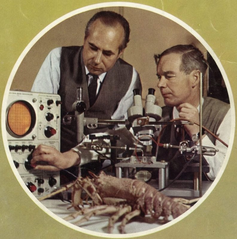 Detail of the cover of the 1963 Nobel Prize programme with Huxley on the left and Hodgkin on the right.