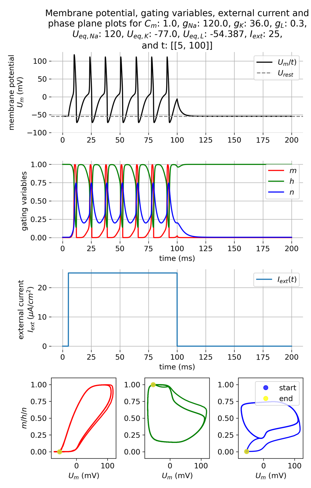 Membrane potential and gating variables during a series of action potentials.