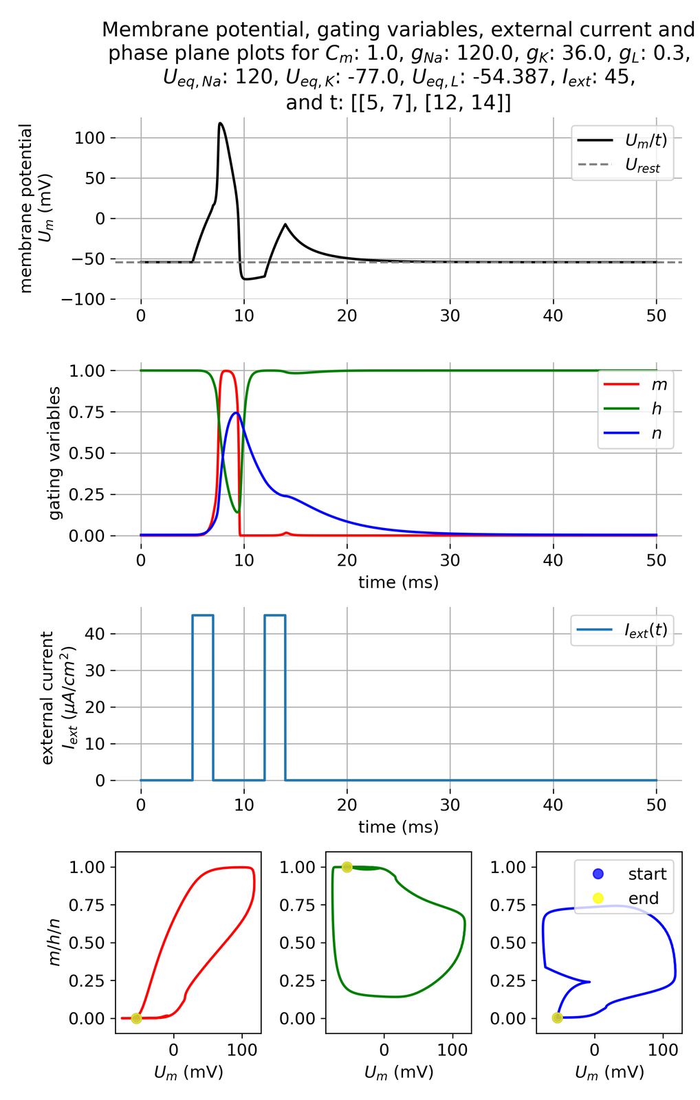 Membrane potential and gating variables during an action potential.