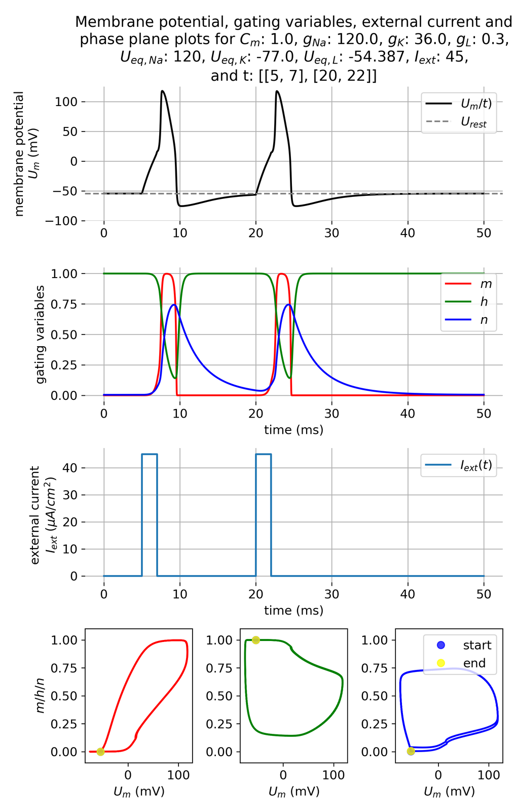 Membrane potential and gating variables during an action potential.