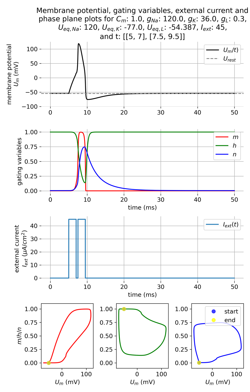 Membrane potential and gating variables during an action potential.