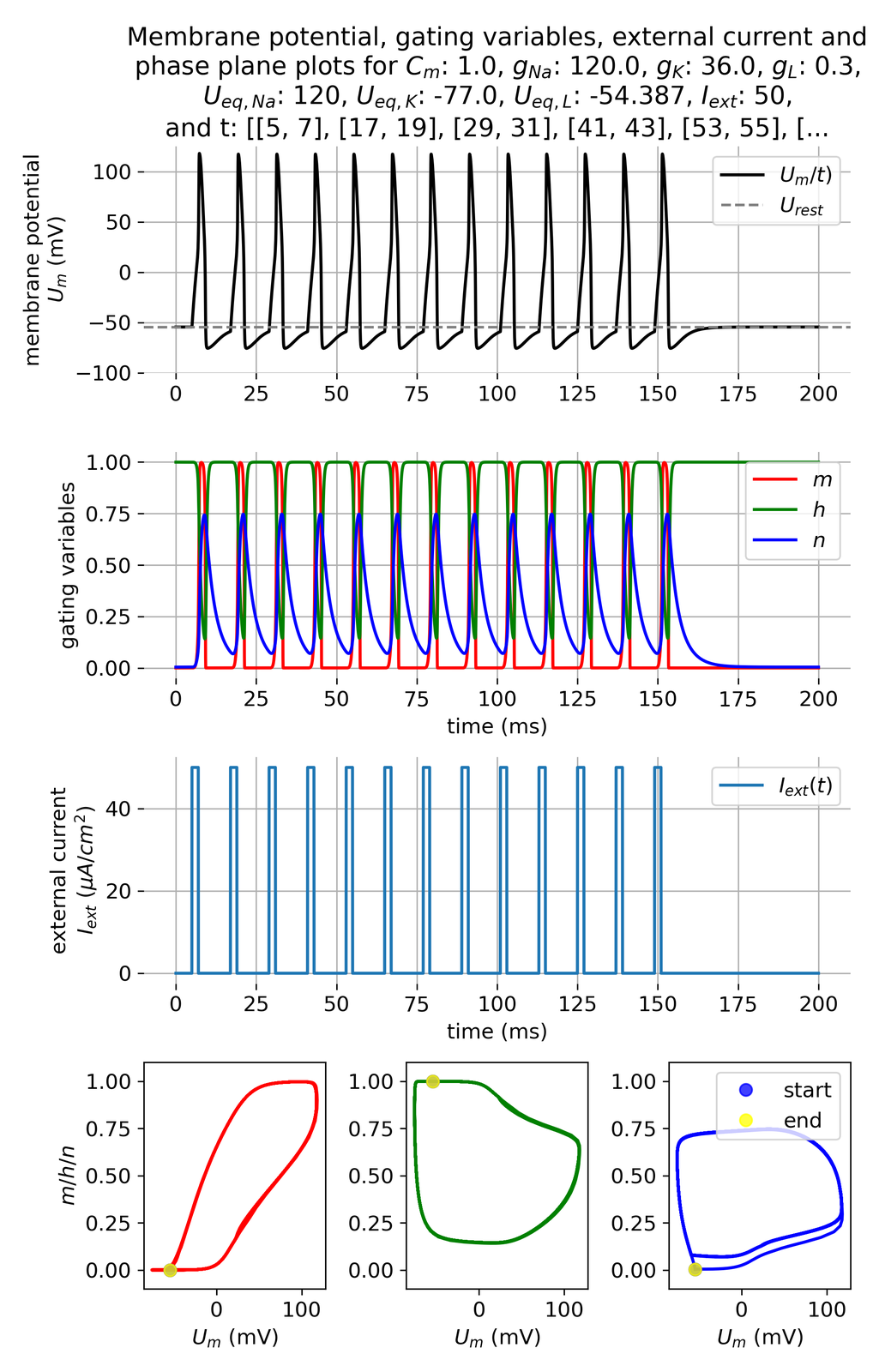 Membrane potential and gating variables during an action potential.