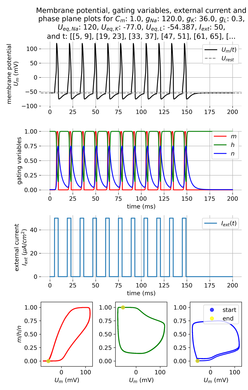 Membrane potential and gating variables during an action potential.