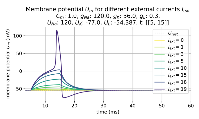Membrane potential U_m in response to different external currents.