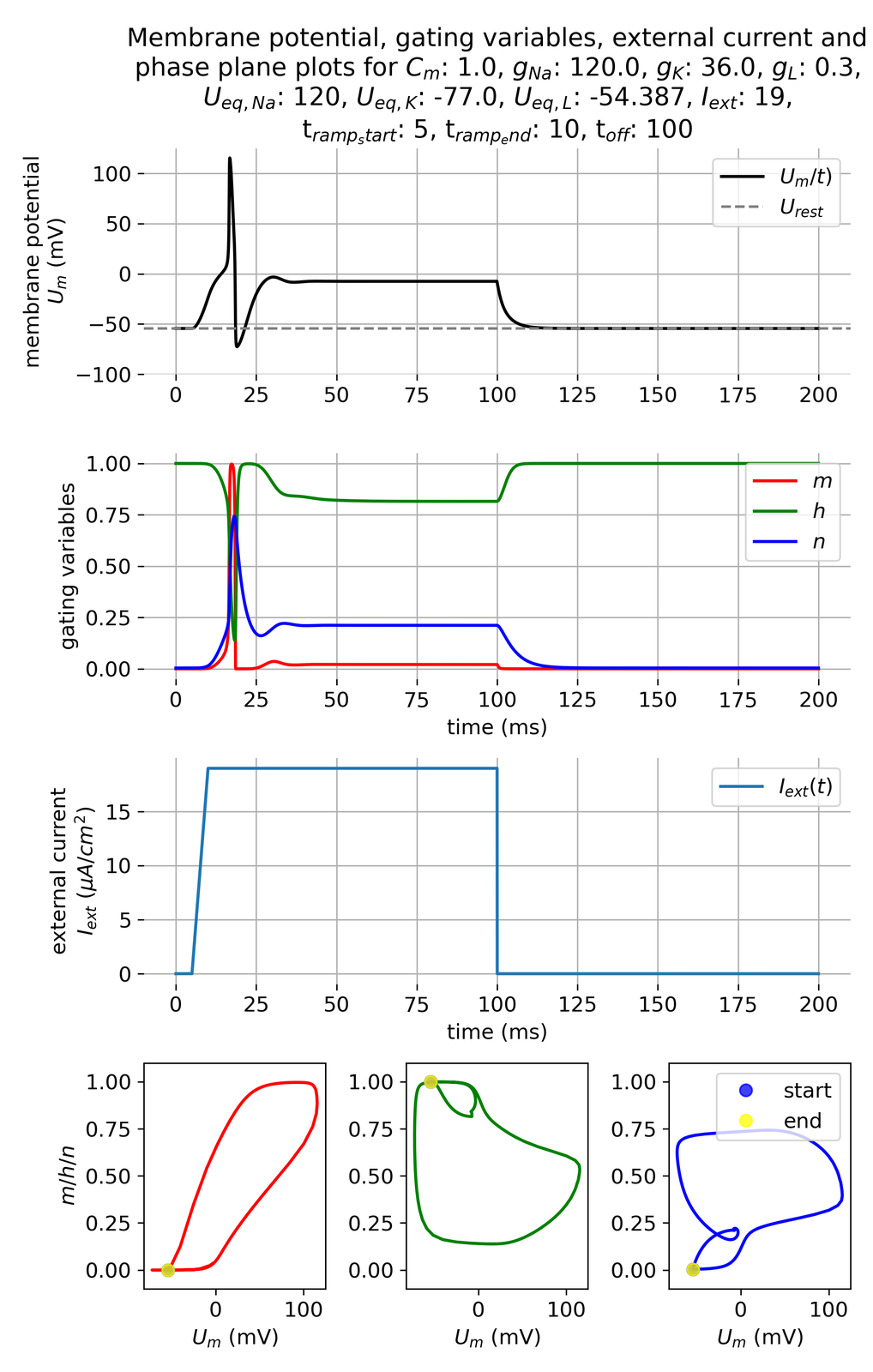 Membrane potential and gating variables during a ramped current injection.