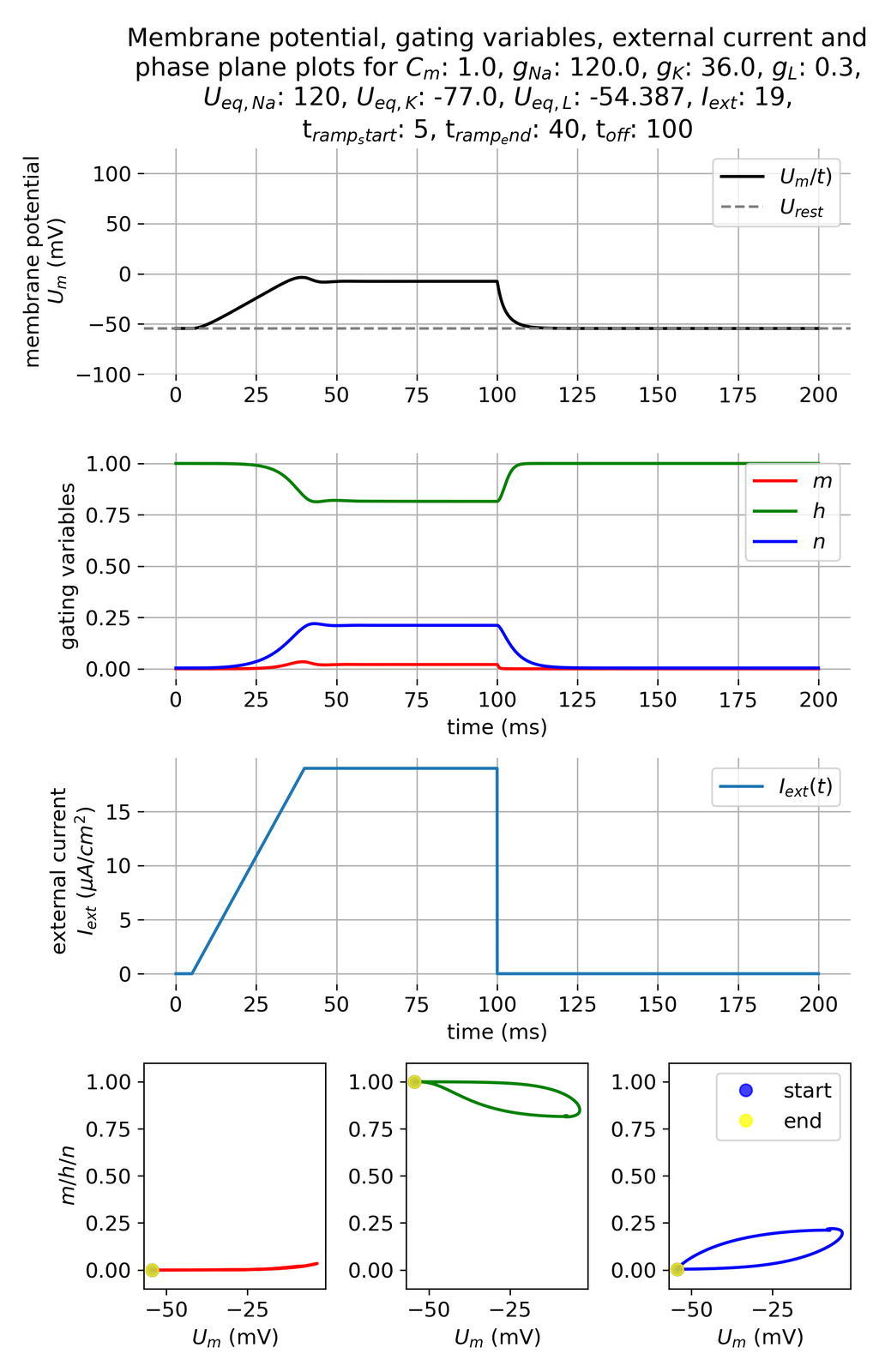 Membrane potential and gating variables during a ramped current injection.