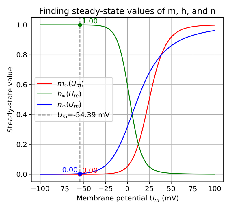Finding the steady-state values of the gating variable m, h, and n at the resting membrane potential.