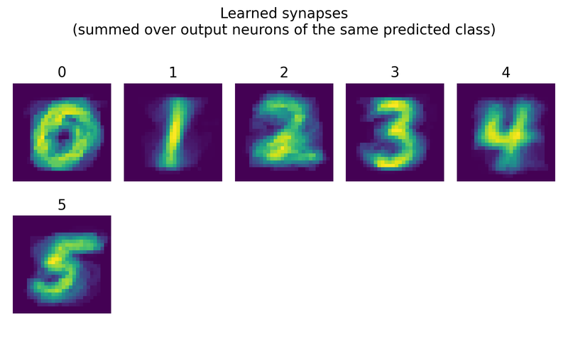 Learned synapses, visualized by summing over output neurons of the same predicted class.