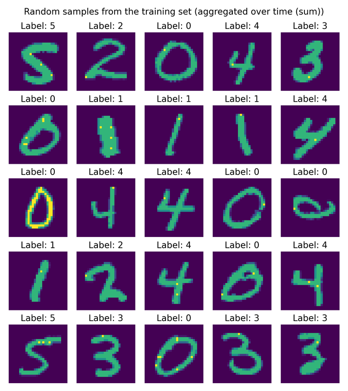 Samples from the training set, visualized by aggregating the input spike trains over time (sum) to reconstruct the original images.