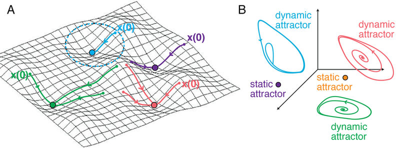 Schematic illustration of neuronal plasticity across scales.