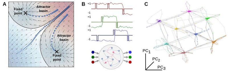 Attractor dynamics and memory representations in neural networks.