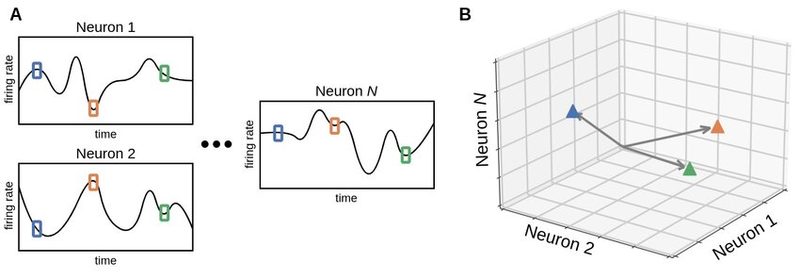 Neural state space representation of population activity.