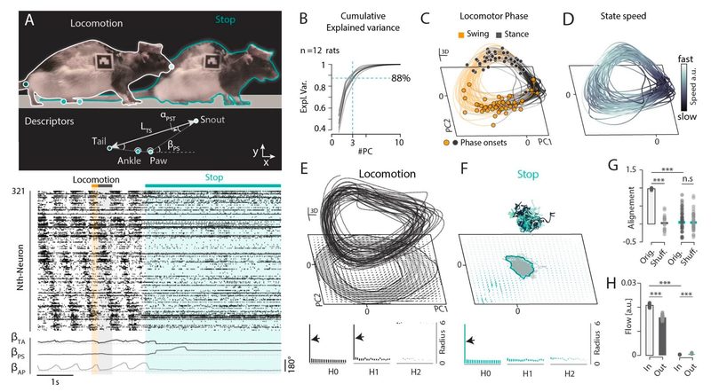 Figure 3 (panels a–h) from S. Komi et al. (2025) demonstrates low-dimensional neural manifolds underlying locomotion and stopping.