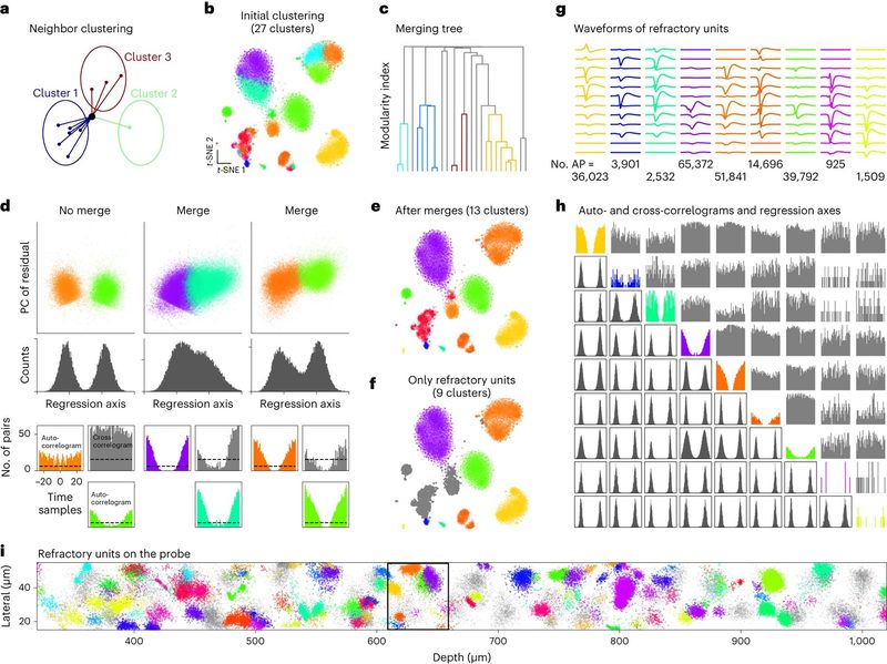 Figure 2 (panels a–i) from Marius Pachitariu et al. (2024) shows graph-based clustering strategies used in Kilosort4 to structure large-scale spike datasets.