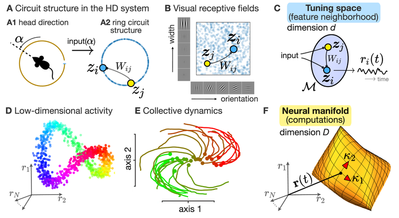Two complementary perspectives on population activity in neural dynamics.
