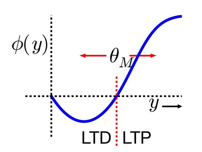 Relationship between postsynaptic activity y and the modification function ϕ(y) (blue line), which is dependent on the dynamic threshold θ_M (red dashed line).