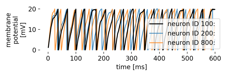 Membrane potential traces of three exemplary neurons in the network.