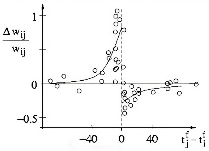 Spike-Timing-Dependent Plasticity (STDP).