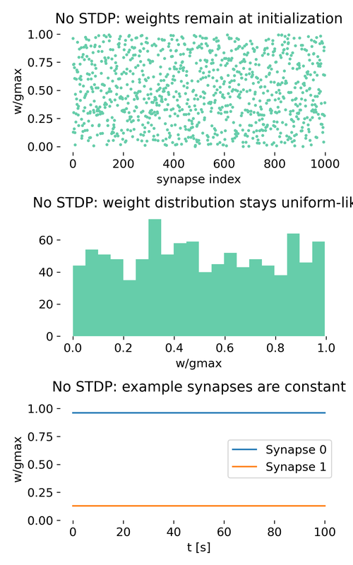 Spike-Timing-Dependent Plasticity (STDP).