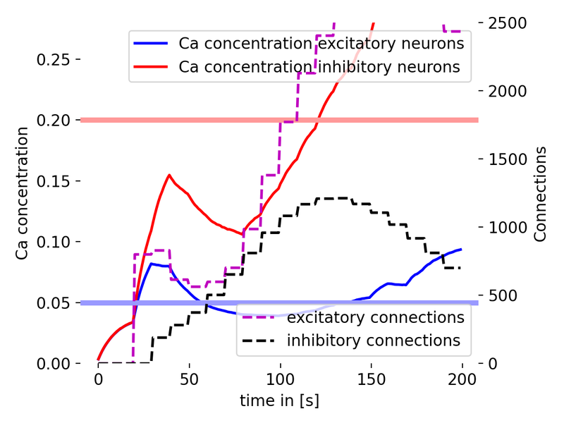 Simulation results of the structural plasticity model.