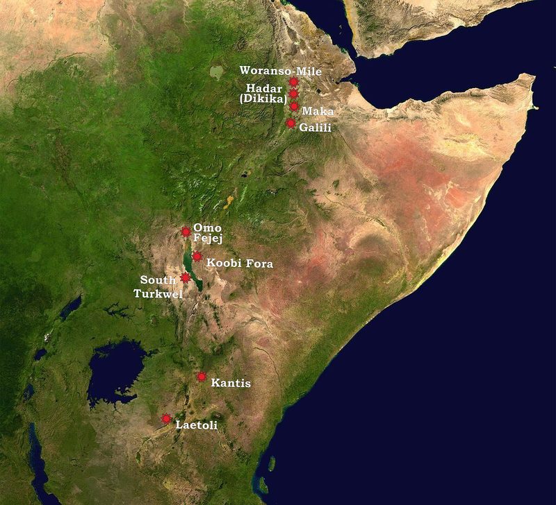 Locations of Australopithecus afarensis sites.