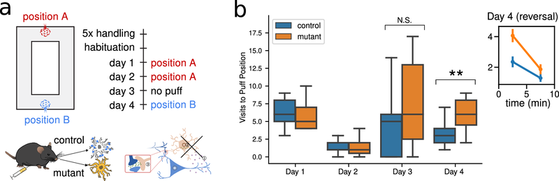 Fig. 2 from Squadrani et al. (2024): Learning impairment of mutant mice during a place-avoidance.
