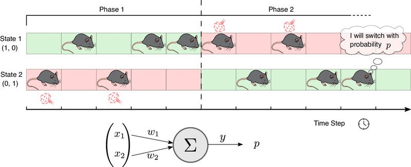 Fig. 3 from Squadrani et al. (2024): Simulation of the passive place-avoidance task.