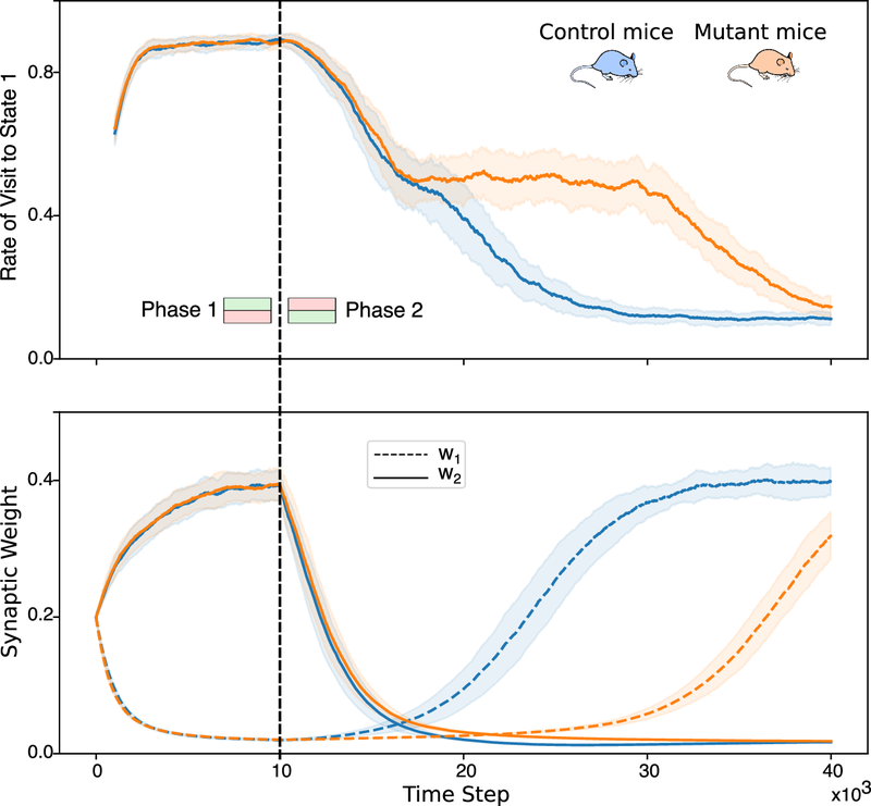 Fig. 4 from Squadrani et al. (2024): Simulation of the passive place-avoidance task.