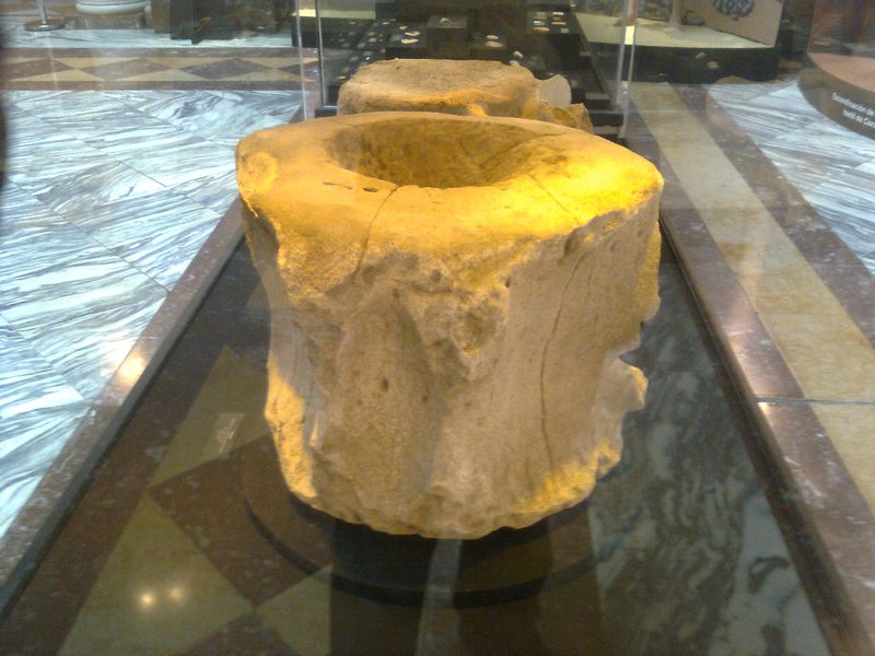 The people from the Caral–Supe civilization used vertebrae of the blue whale as stools.