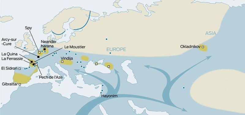 Expansion of early modern humans from Africa through the Near East.