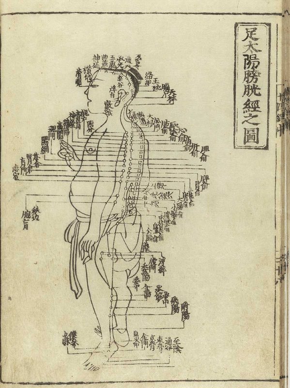 Acupuncture chart from Hua Shou.