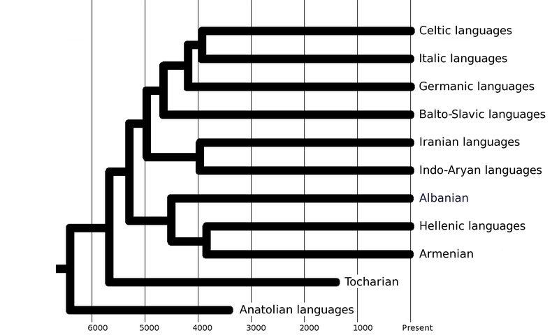 Indo-European language family tree based on by Chang et al. (2015).