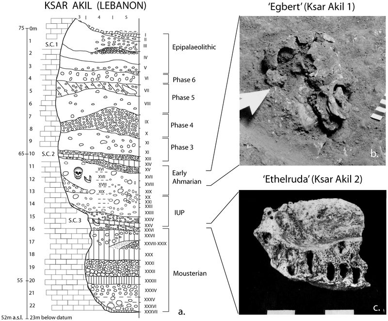 Layer sequence at Ksar Akil in the Levantine corridor, and discovery of two fossils of Homo sapiens, dated to 40,800 to 39,200 years BP for 'Egbert', and 42,400–41,700 BP for 'Ethelruda'.