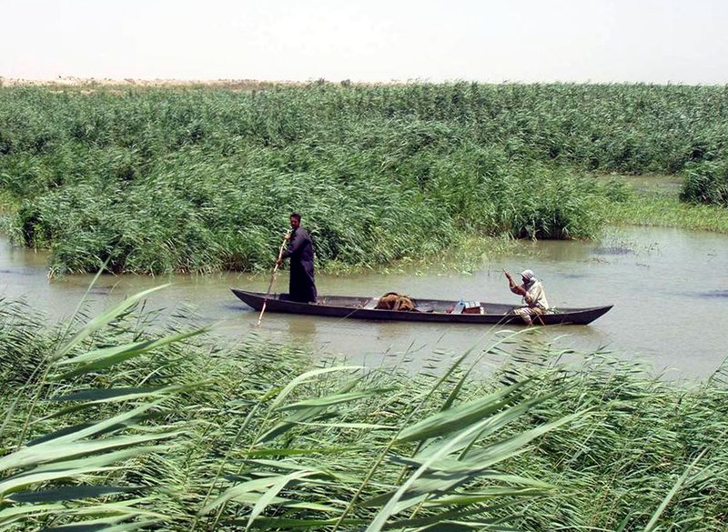 Mesopotamian marshes in the south of modern Iraq, as an example, illustrate the region's diverse ecosystems and their impact on human settlement.