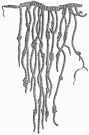 The presence of *quipu* tentatively suggests a 'proto-writing' system in ancient Caral–Supe.