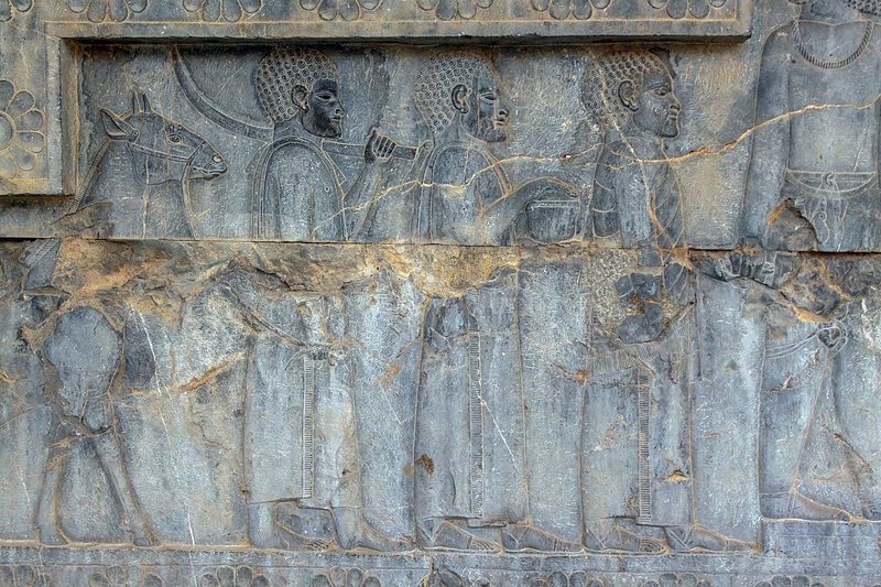 Kushite delegation on a Persian relief from the Apadana palace, c. 500 BCE.