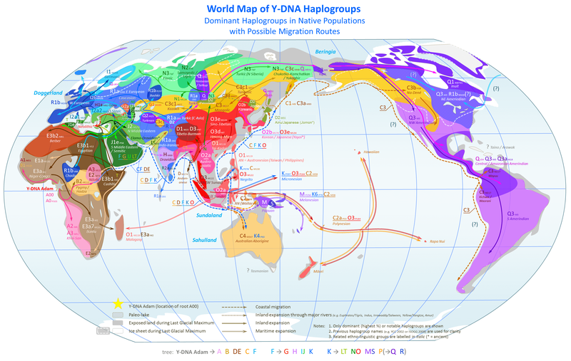 Map of Y-chromosome haplogroups – dominant haplogroups in pre-colonial populations with proposed migrations routes.