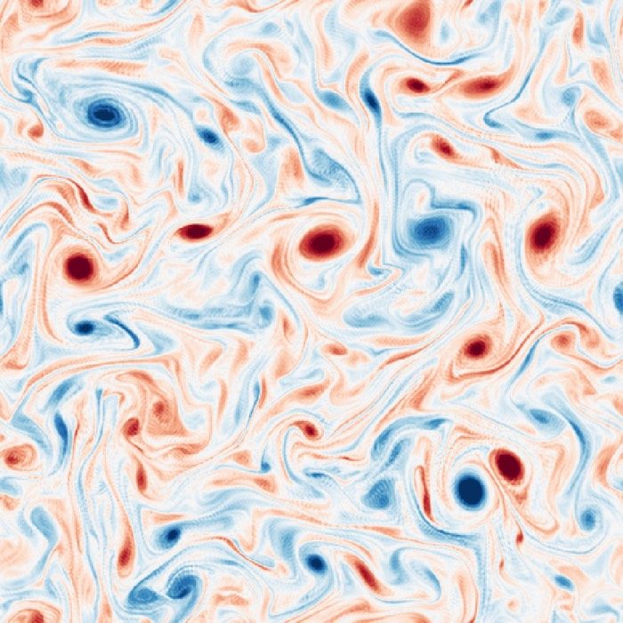 Snapshot of the vorticity field.