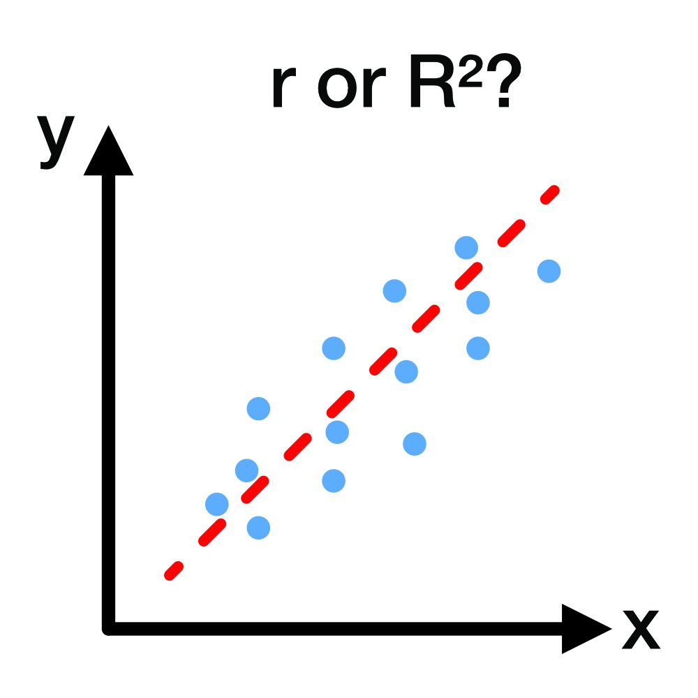 When to report r vs R²?