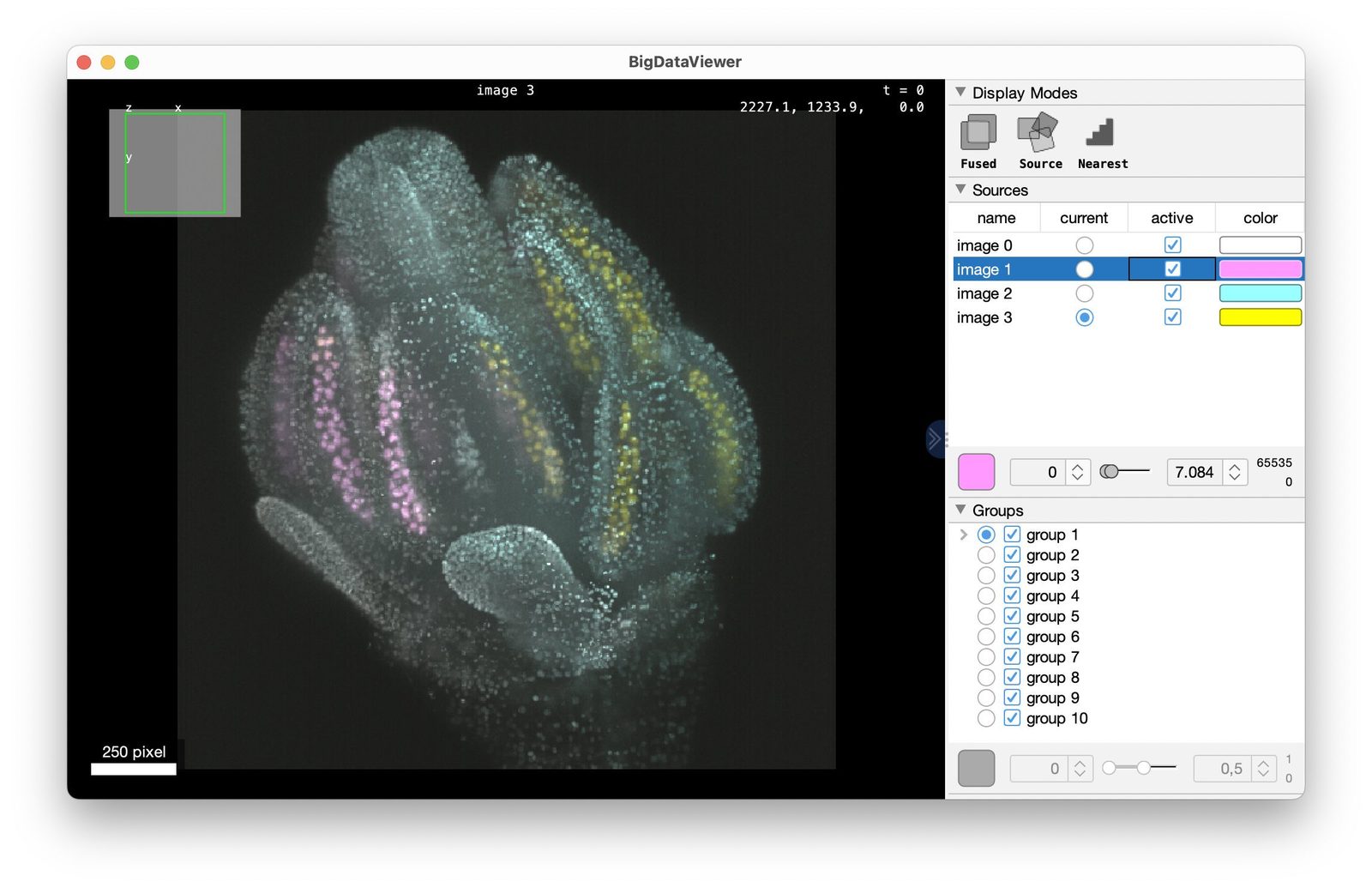 A remotely stored and downloaded OME-ZARR file in the BigDataViewer. img
