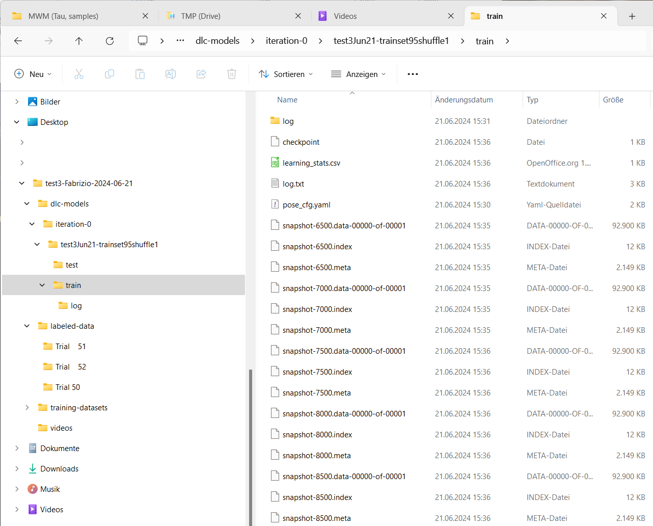 Monitor the training progress via the snapshot and log files created in the project's train directory during the training process.