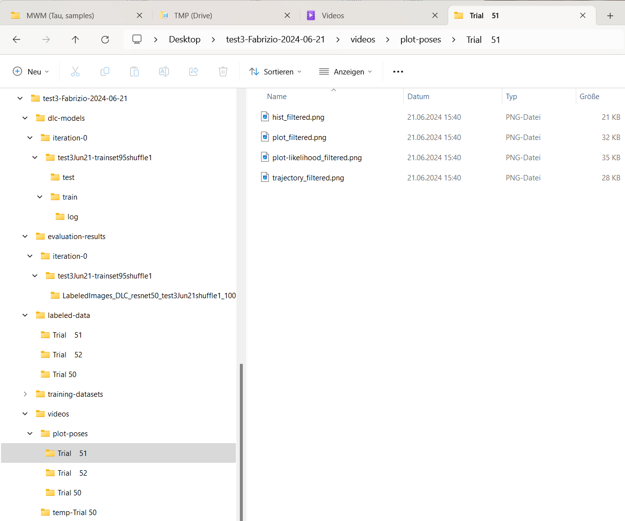 Content of the plot-poses folder containing the plotted tracking results for each video.