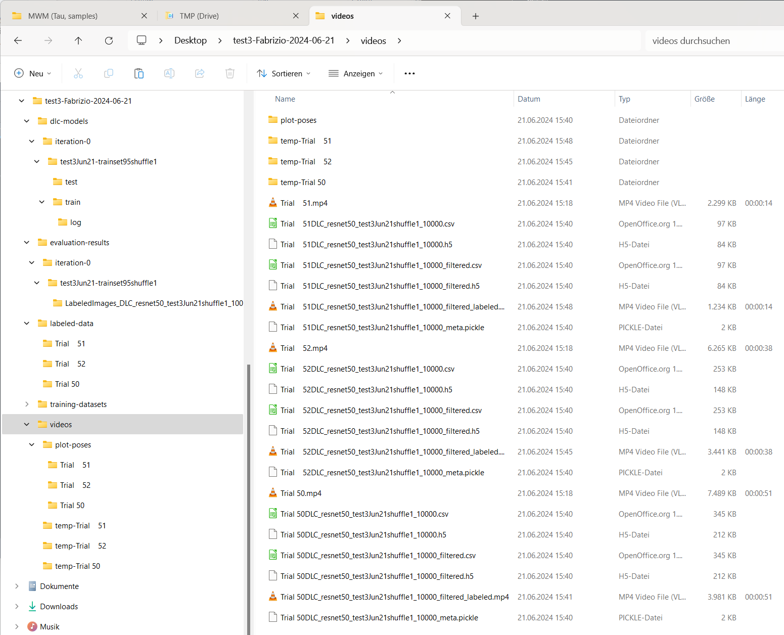 The videos folder containing the generated video with the tracking data overlaid on the original video.