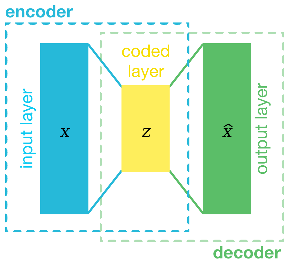 The simple architecture of an autoencoder: 3 layers (input, latent space, output).