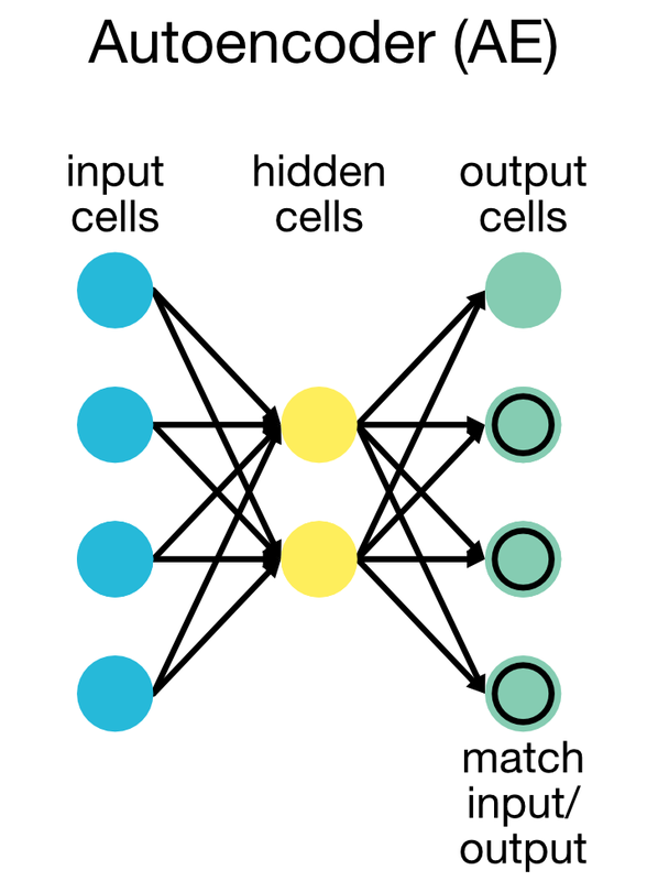 Schematic of the AE network architecture. png